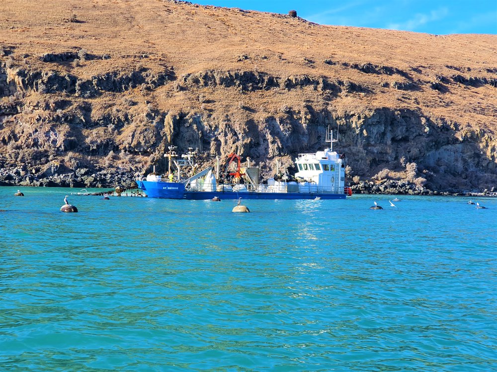 Mussel Boat working off Banks Peninsula, New Zealand.
